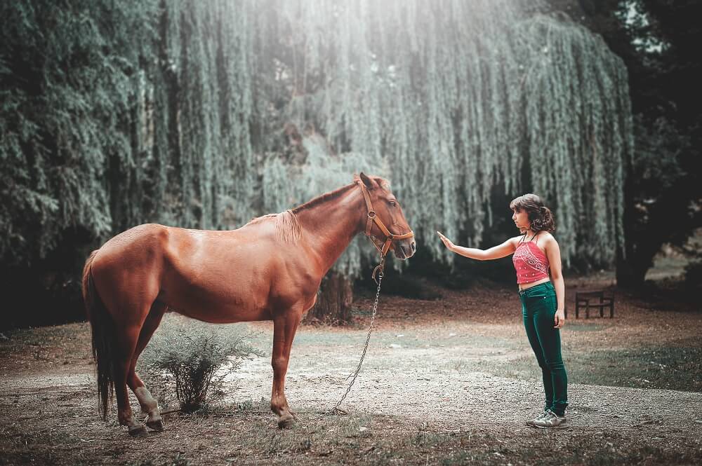 benefits of equine therapy