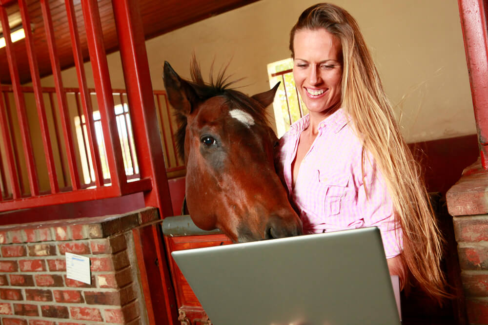 Write article about horses