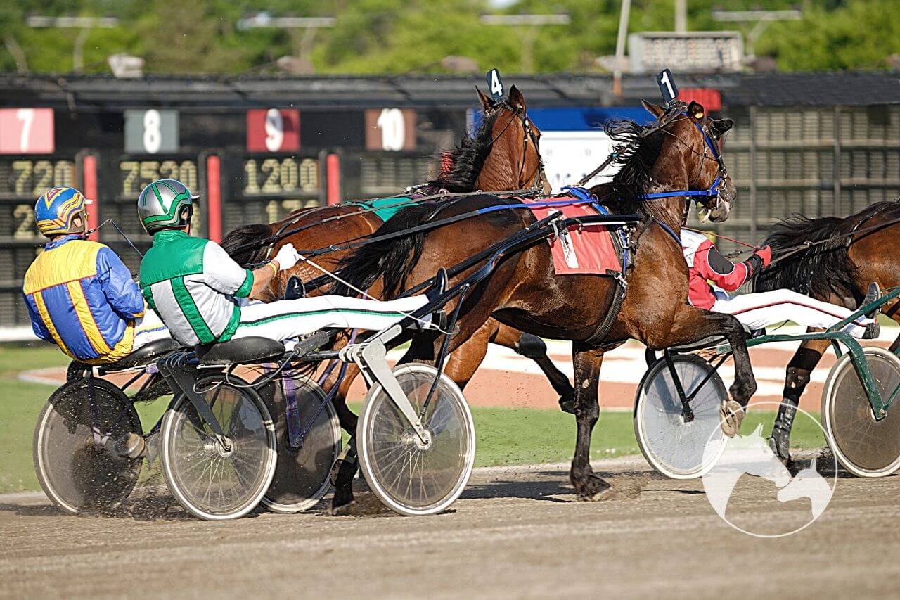 Things About Harness Racing You May Not Know