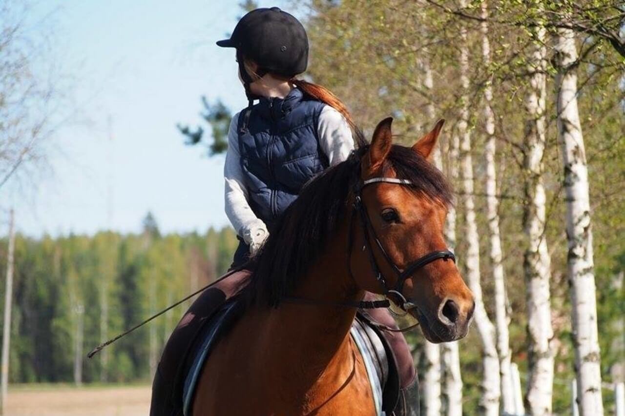 best horse riding helmet reviews