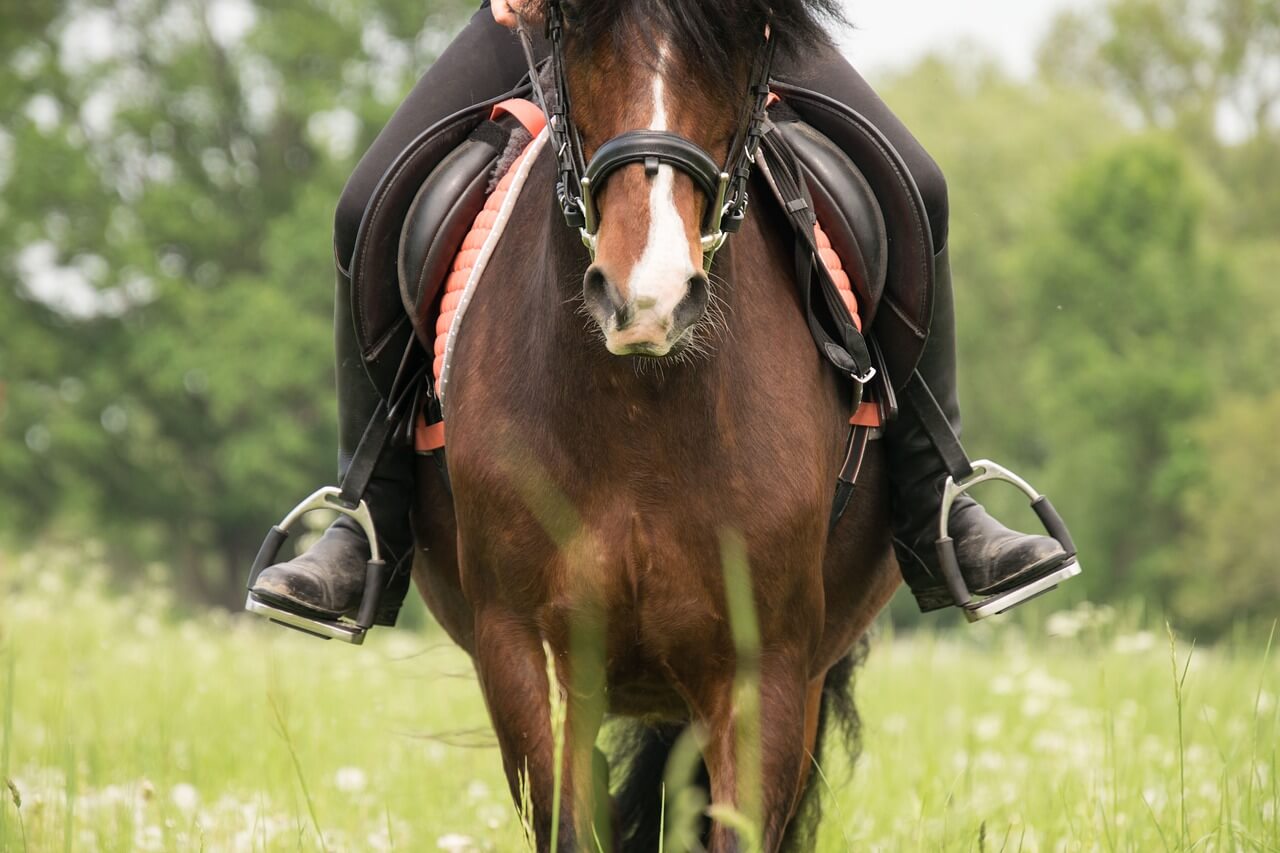 Stirrup Plastic Stirrups Horse Riding Black Safety Horse Saddle Safety 