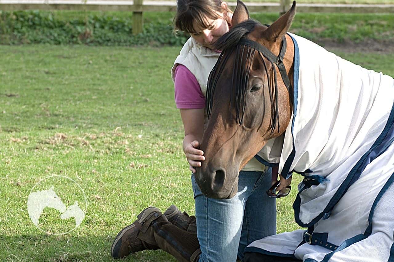 How Can You Tell If Your Horse Has Sand Colic