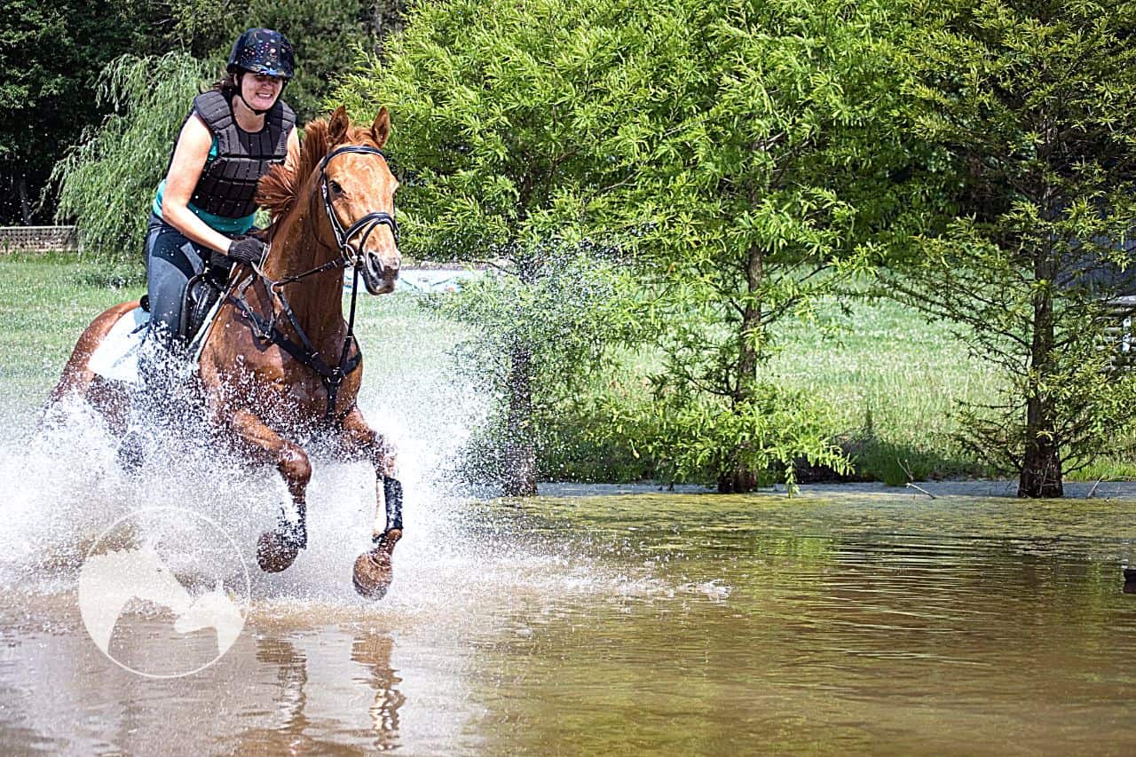 FAQ about a horse afraid of water