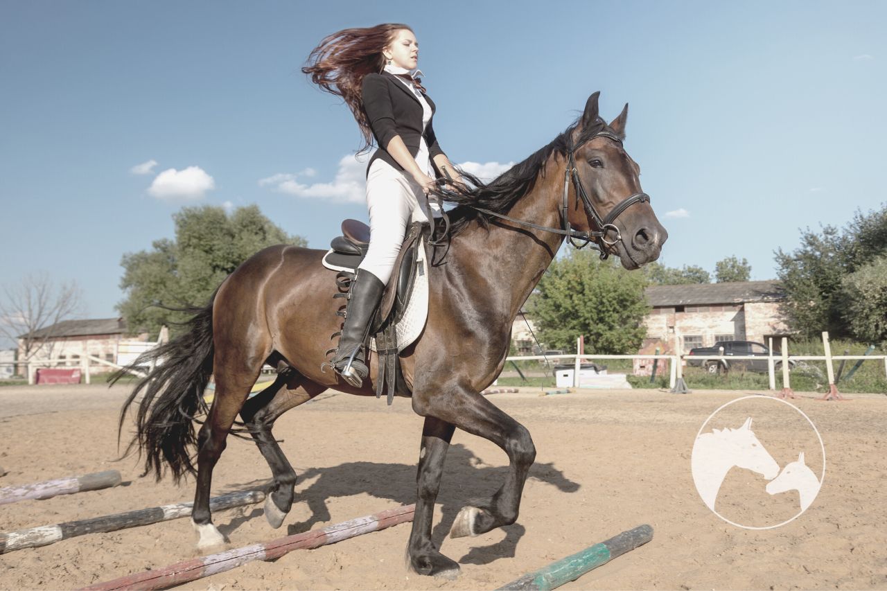 cowboy dressage vs western dressage Frequently Asked Questions