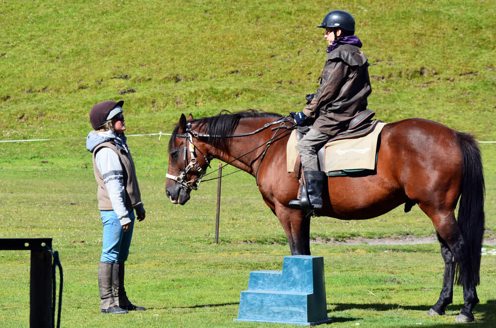 Training horses
