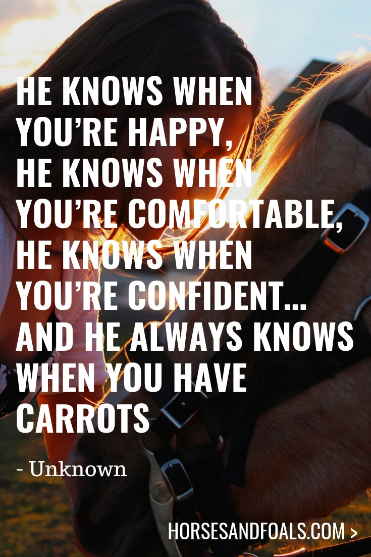 He knows when you’re happy, he knows when you’re comfortable, he knows when you’re confident… And he always knows when you have carrots 