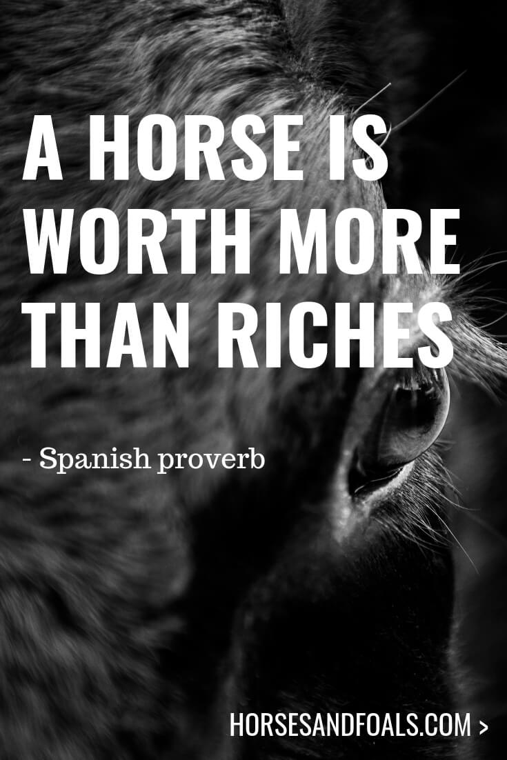 A horse is worth more than riches 