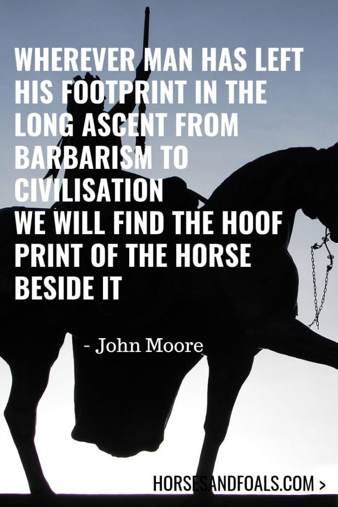 17 Inspirational Horse Quotes That You Will Love [With Images]