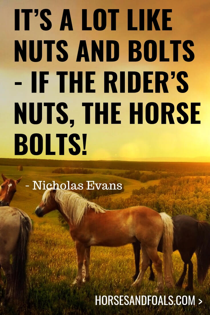 It’s a lot like nuts and bolts - if the rider’s nuts, the horse bolts! 