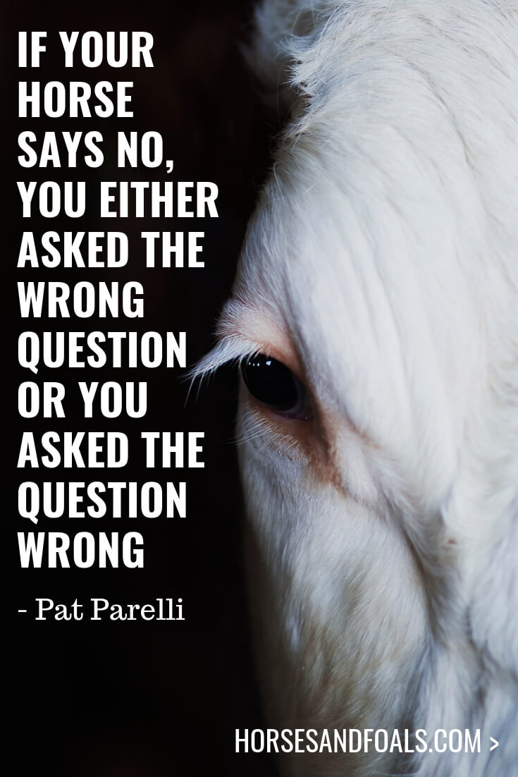 If your horse says no, you either asked the wrong question or you asked the question wrong - 
