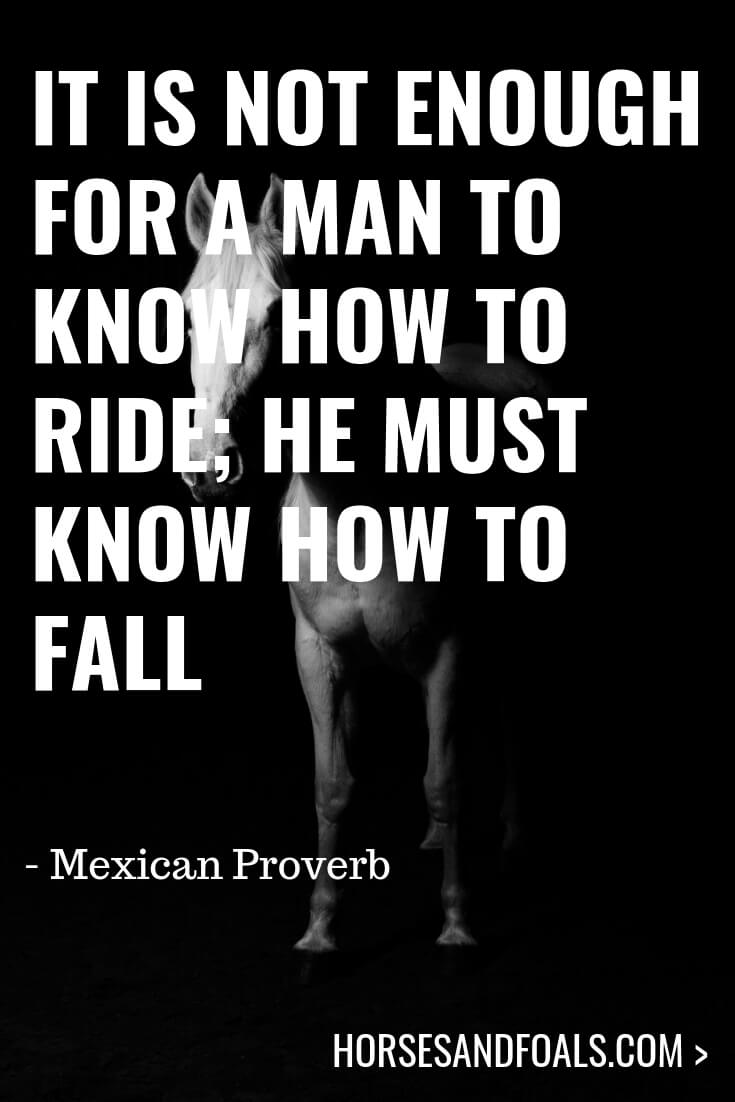 It is not enough for a man to know how to ride; he must know how to fall