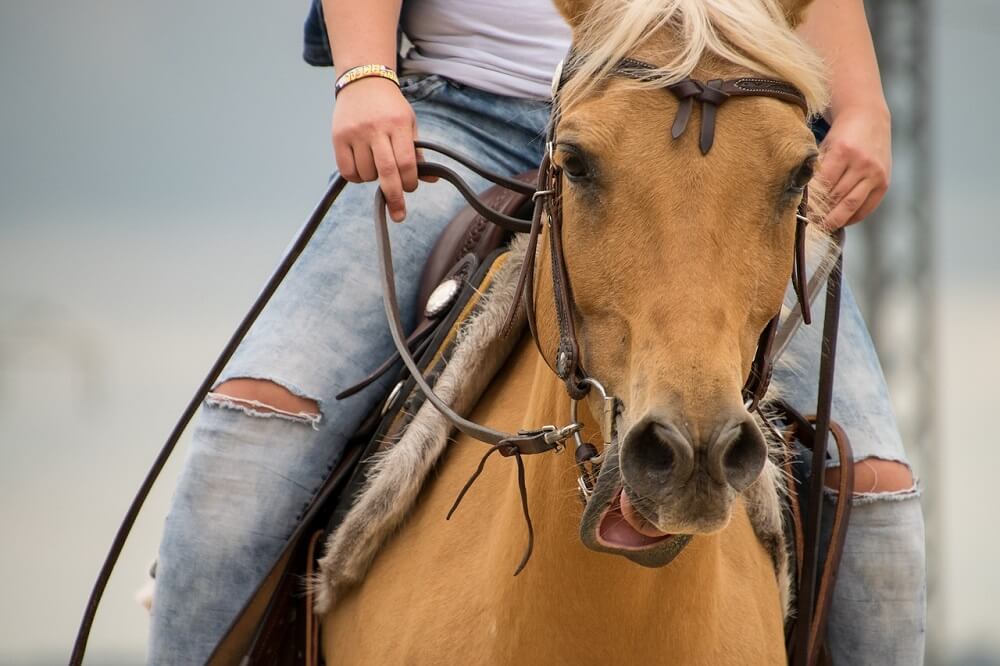 How Do You Ride A Horse