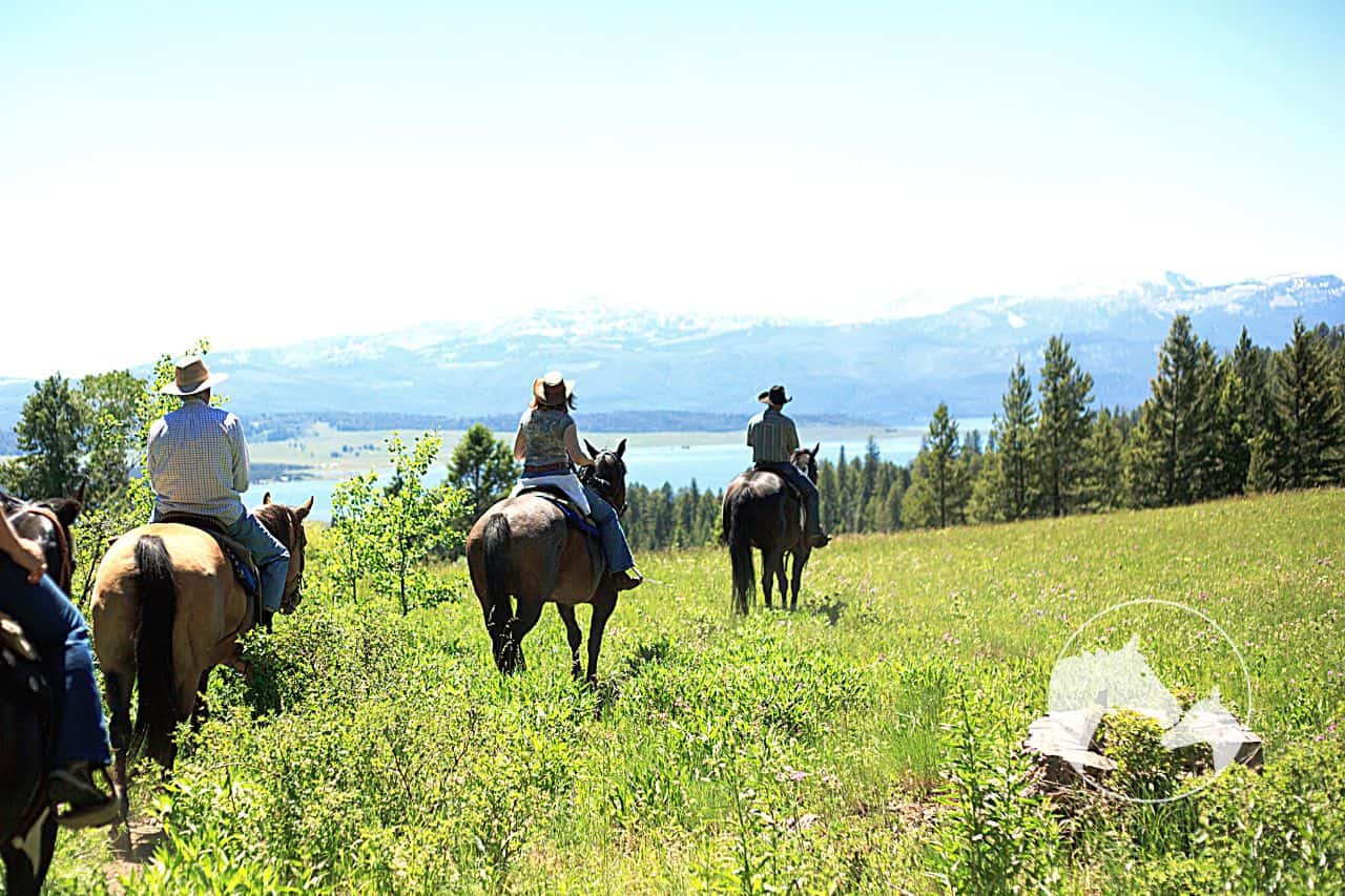 how to train a horse for trail riding Frequently Asked Questions