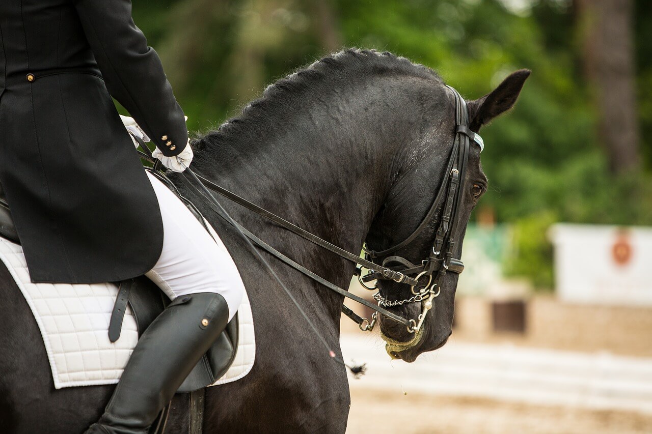 best ways to prepare for a horse show