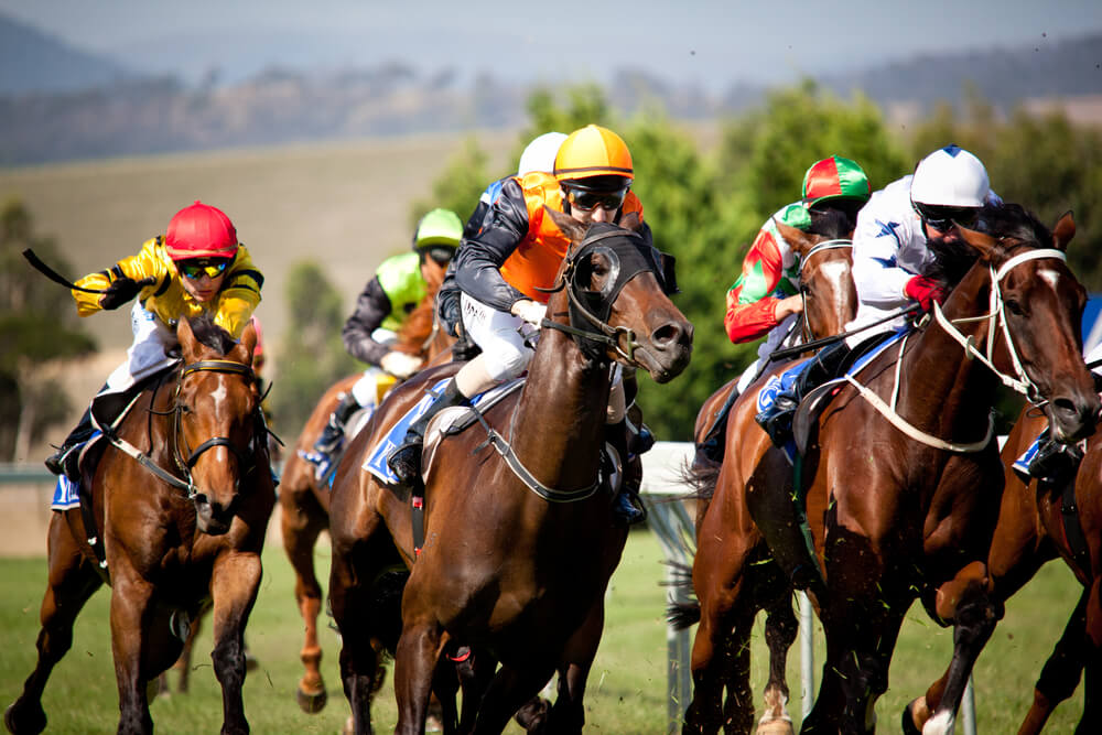 Types Of Horseracing