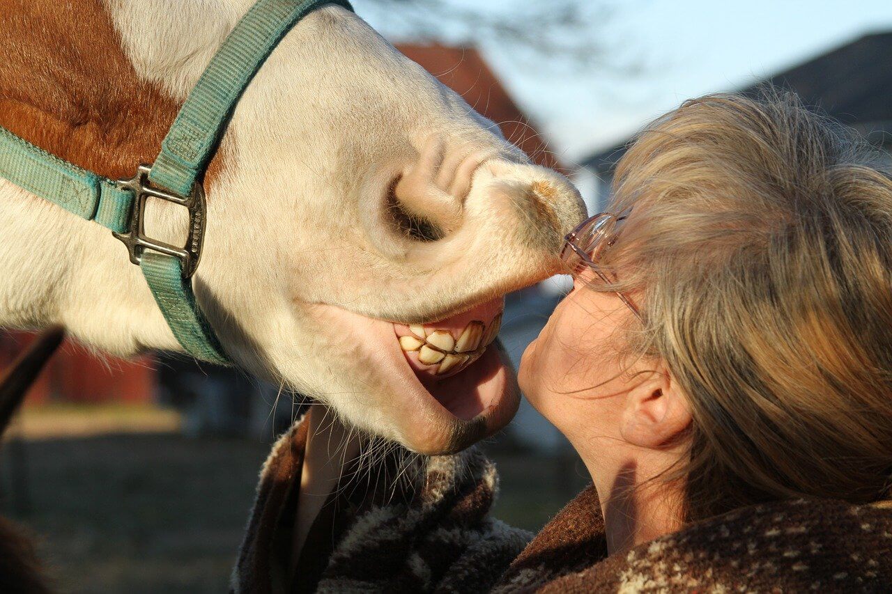 reasons why a horse might show its teeth