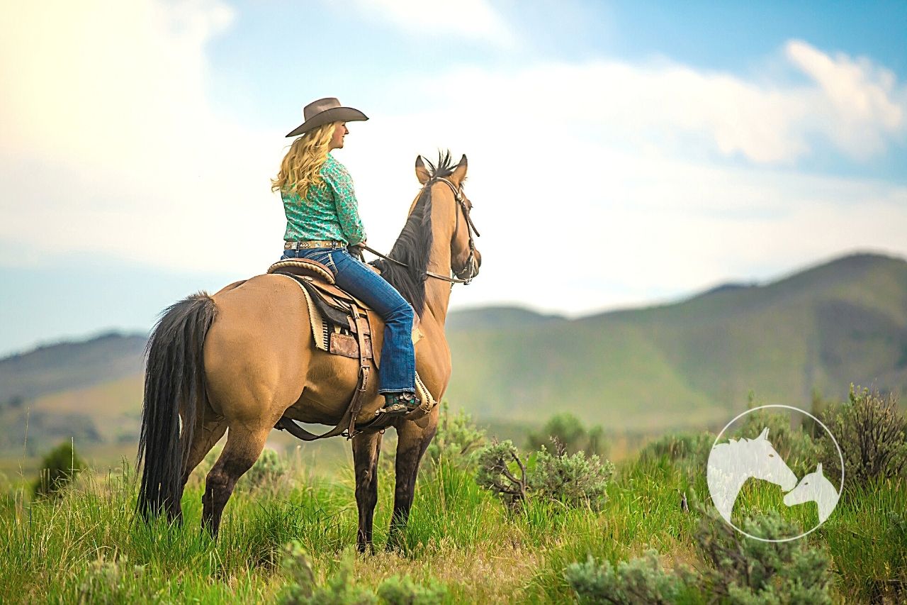 How To Gain Confidence Riding Horses